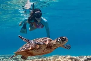 amed snorkling (4)